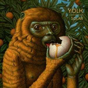 Yolk